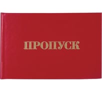 Бланк документа STAFF Пропуск 65х98 мм 129143