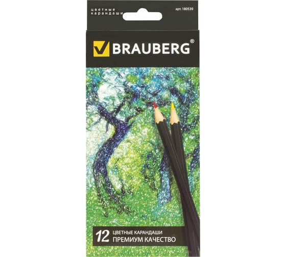 Цветные карандаши BRAUBERG Artist line 12 цветов, черный заточенные 180539