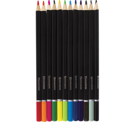 Цветные карандаши BRAUBERG Artist line 12 цветов, трехгранные, черный 180596