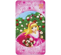 Цветные карандаши BRAUBERG Rose Angel, 12 цветов, металлическая упаковка 180544
