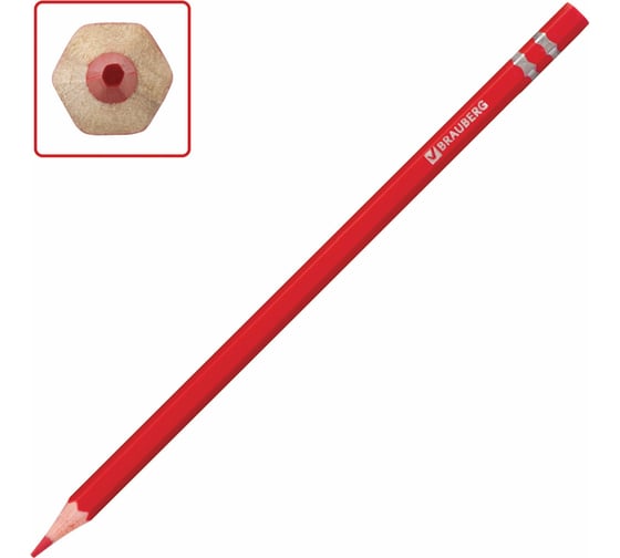 Цветные карандаши BRAUBERG Rose Angel, 12 цветов, заточенные, картонная упаковка 180577