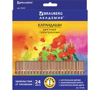 Цветные карандаши BRAUBERG Цветы 24 цвета, трехгранные заточенные, лакированное дерево 181368