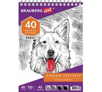 Скетчбук BRAUBERG белая бумага 120 г/м2, 145х205 мм, 40 листов, гребень, жёсткая подложка 110988