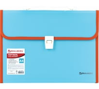 Пластиковый портфель BRAUBERG Joy А4 330x245x35 мм, 13 отделений, с окантовкой, индексные ярлыки 227976