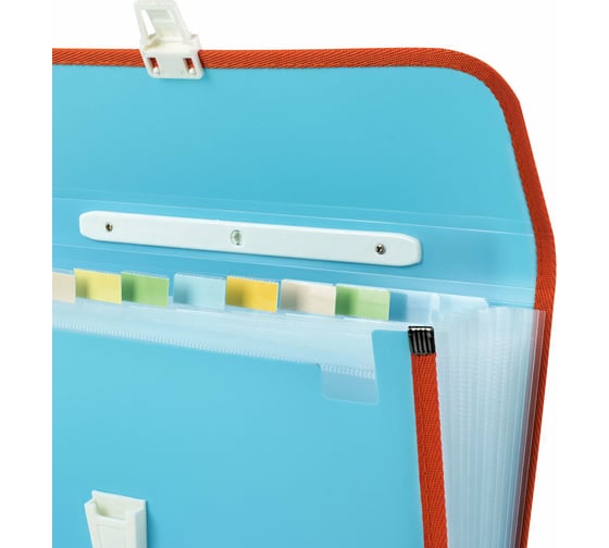 Пластиковый портфель BRAUBERG Joy А4 330x245x35 мм, 13 отделений, с окантовкой, индексные ярлыки 227976