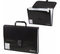 Пластиковый портфель BRAUBERG Делегат А4 330x240x35 мм, 13 отделений, фактура диагональ, черный 226024
