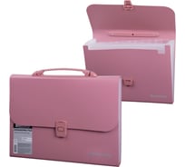 Пластиковый портфель BRAUBERG А4 327х254х30 мм, 13 отделений, индексные ярлыки, розовый 221441