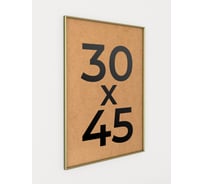 Фоторамка ООО Первое ателье Золотая алюминиевая рамка 30x45 см Niel-2gm-30х45