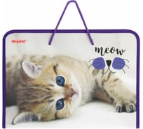 Папка для труда Пифагор Kitten с ручками, А4, пластик, молния вокруг, откидная планка 229135