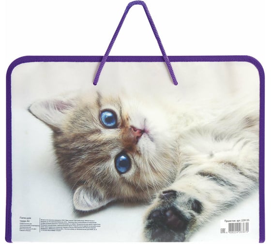 Папка для труда Пифагор Kitten с ручками, А4, пластик, молния вокруг, откидная планка 229135