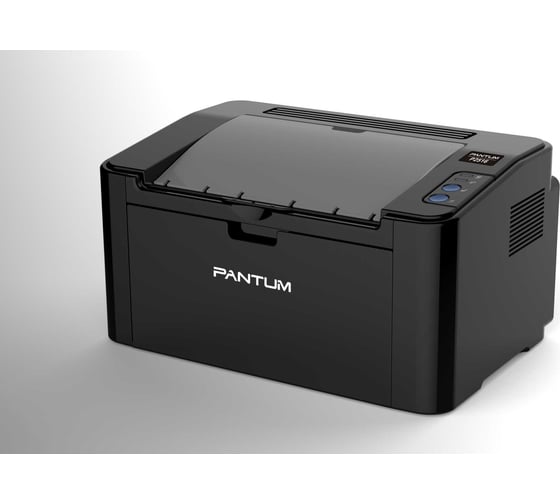 Принтер Pantum Mono Laser А4 20 страниц/мин лоток 150 листов USB черный корпус P2516