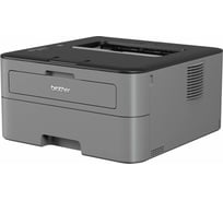 Лазерный принтер Brother HLL2300DR1