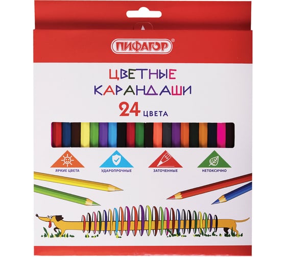 Цветные карандаши ПИФАГОР Веселая такса, 24 цвета, классические, заточенные 181808