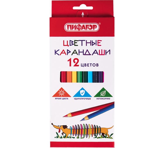 Цветные карандаши ПИФАГОР Веселая такса, 12 цветов, классические, заточенные 181806