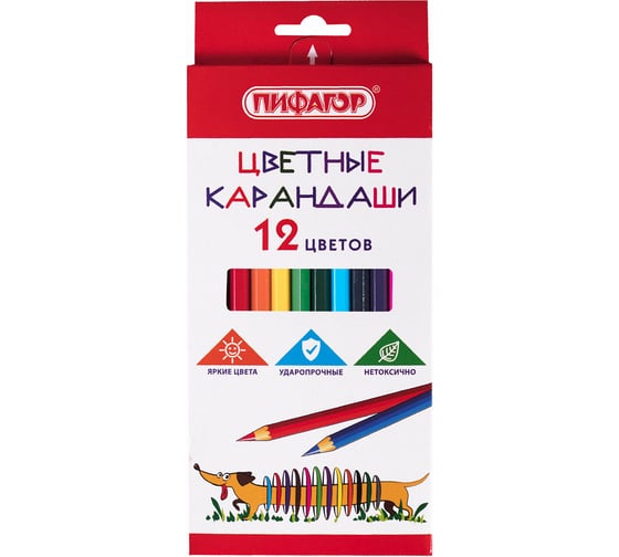 Цветные карандаши ПИФАГОР Веселая такса, 12 цветов, классические, заточенные 181806