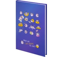 Блокнот BRAUBERG Kids Радужные котики А5, 134x206 мм, 80 л, твёрдый, клетка 114417