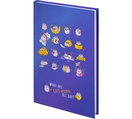 Блокнот BRAUBERG Kids Радужные котики А5, 134x206 мм, 80 л, твёрдый, клетка 114417