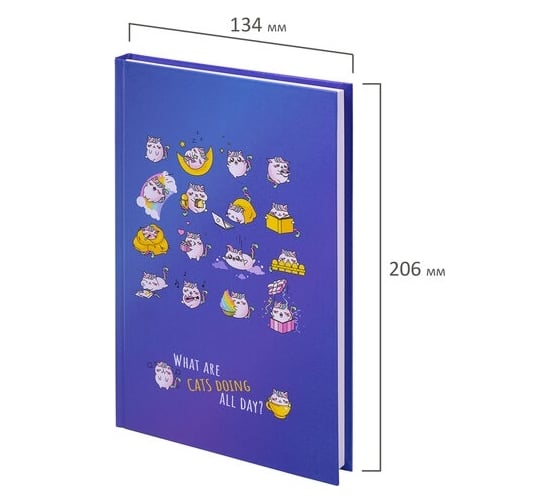Блокнот BRAUBERG Kids Радужные котики А5, 134x206 мм, 80 л, твёрдый, клетка 114417