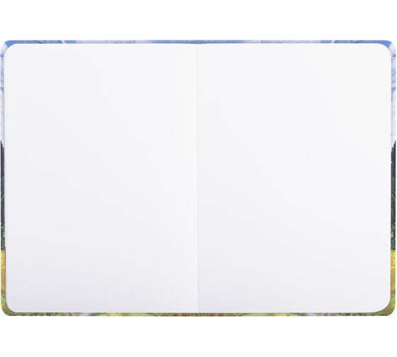 Скетчбук BRAUBERG Art Classic Ван Гог белая бумага, 160 г/м2, 145x203 мм, 64 л, резинка, твердый 114590