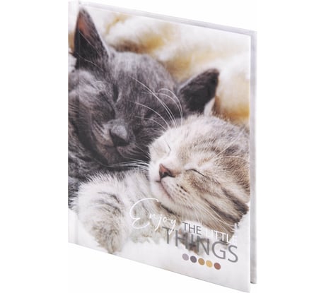 Блокнот STAFF Котики малый формат 103x146 мм, А6, 80 листов, твёрдый, клетка 114439