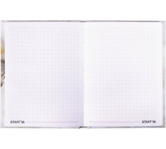 Блокнот STAFF Котики малый формат 103x146 мм, А6, 80 листов, твёрдый, клетка 114439