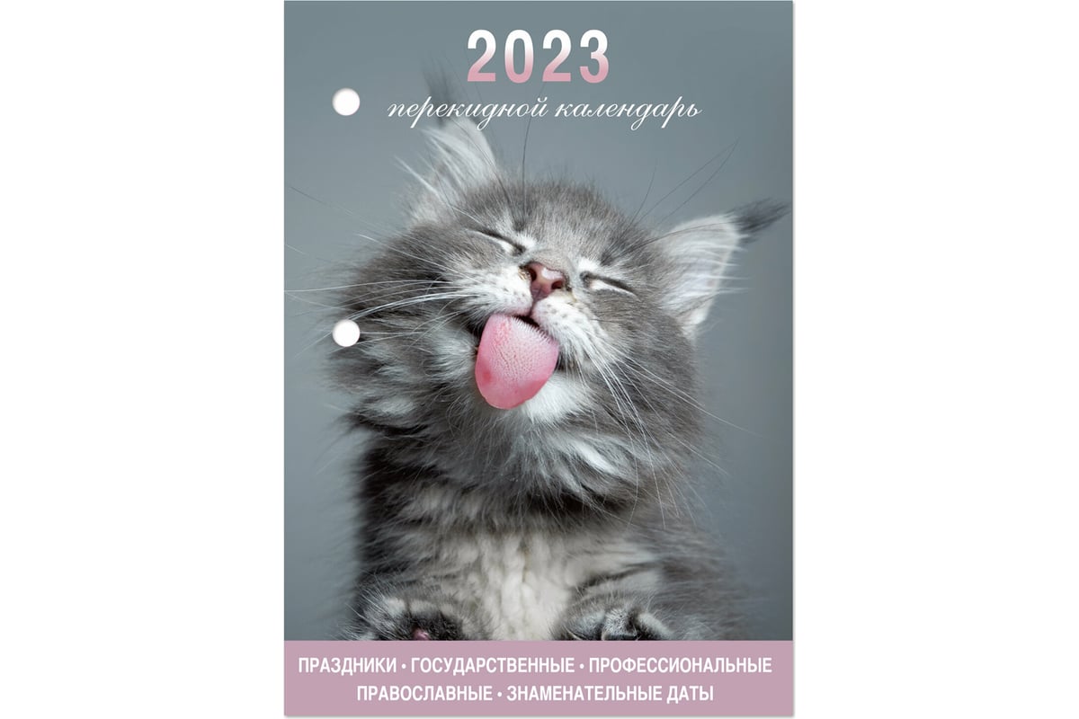 Настольный перекидной календарь STAFF Meow 2023 г, 160 листов, блок офсет,  цветной, 2 краски 114291 - выгодная цена, отзывы, характеристики, фото -  купить в Москве и РФ