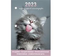 Настольный перекидной календарь STAFF Meow 2023 г, 160 листов, блок офсет, цветной, 2 краски 114291