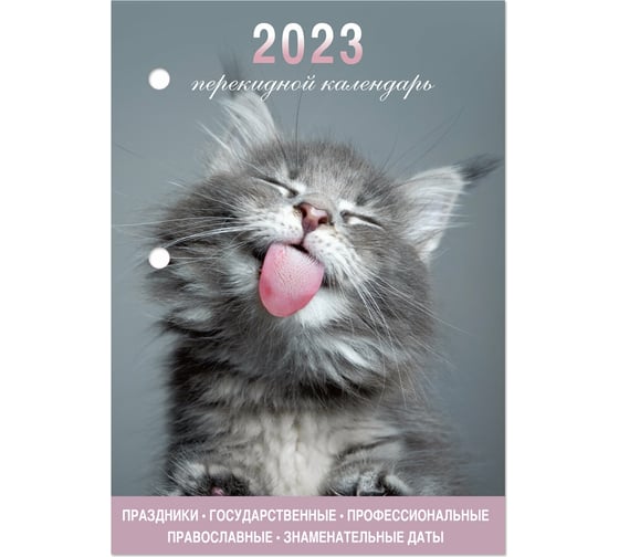 Настольный перекидной календарь STAFF Meow 2023 г, 160 листов, блок офсет, цветной, 2 краски 114291 1