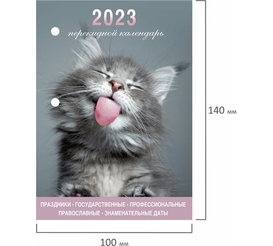 Настольный перекидной календарь STAFF Meow 2023 г, 160 листов, блок офсет, цветной, 2 краски 114291