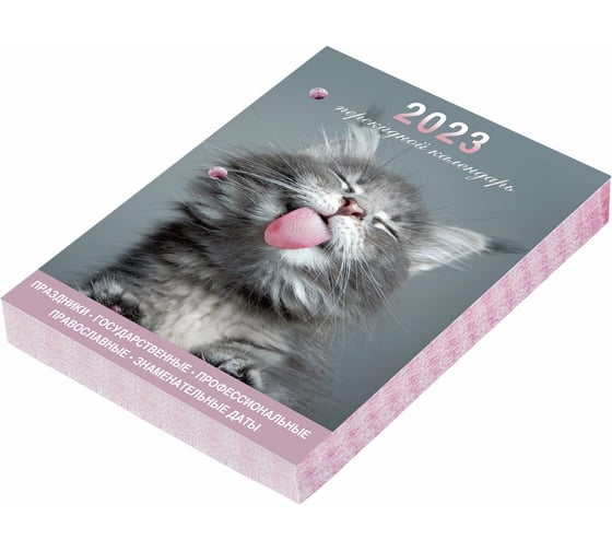 Настольный перекидной календарь STAFF Meow 2023 г, 160 листов, блок офсет, цветной, 2 краски 114291