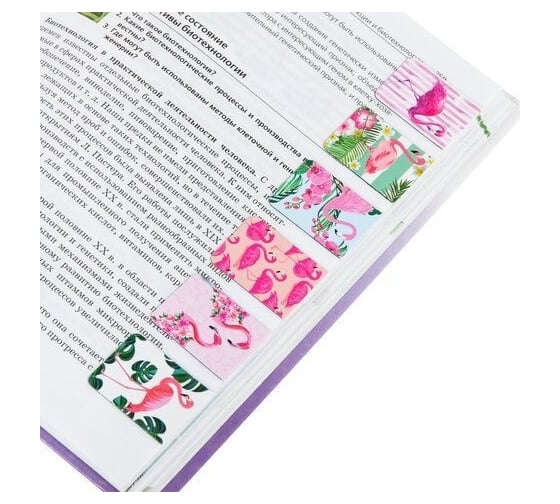 Магнитные закладки для книг BRAUBERG Flamingo набор 6 шт, 35x25 мм 113165