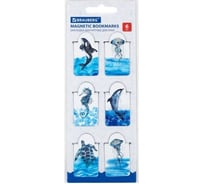 Магнитные закладки для книг BRAUBERG Marine Life c высечкой, набор 6 шт, 35x25 мм 113163