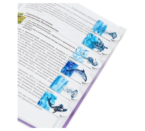 Магнитные закладки для книг BRAUBERG Marine Life c высечкой, набор 6 шт, 35x25 мм 113163