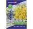 Папка для акварели BRAUBERG Art Classic Осенняя аллея А4, 10 л, 270 г/м2, мелкое зерно 114397 1