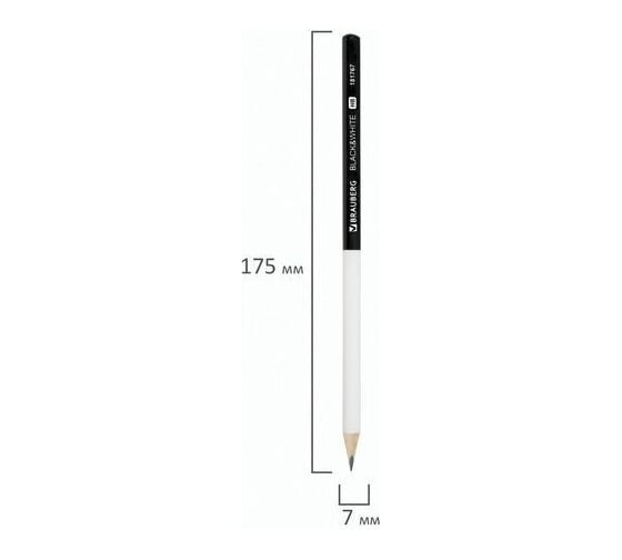 Чернографитный карандаш BRAUBERG Black White 1 шт, HB, корпус черно-белый 181767