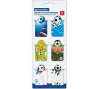 Магнитные закладки для книг BRAUBERG Football c высечкой, набор 6 шт, 35x25 мм 113161