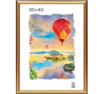 Пластиковая фоторамка Зебра PS_309_30x40, 30x40 см X7484556