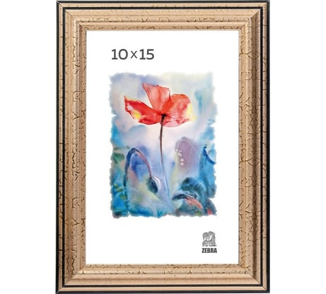 Пластиковая фоторамка Зебра PS_309_10x15, 10x15 см X7480886