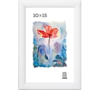 Пластиковая фоторамка Зебра PS_500_10x15, 10x15 см X7484210