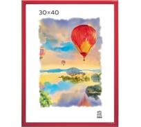 Пластиковая фоторамка Зебра PS_514_30x40, 30x40 см X7483197