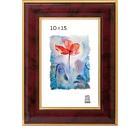 Пластиковая фоторамка Зебра PS_602_10x15, 10x15 см X7481896