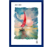 Пластиковая фоторамка Зебра PS_504_21x30, 21x30 см X7478384