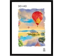 Пластиковая фоторамка Зебра PS_508_30x40, 30x40 см X7479933