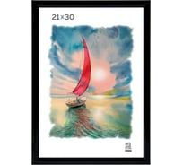 Пластиковая фоторамка Зебра PS_508_21x30, 21x30 см X7476858