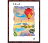 Пластиковая фоторамка Зебра PS_501_30x40, 30x40 см X7479175