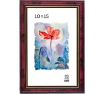 Пластиковая фоторамка Зебра PS_102_10x15 X7484433