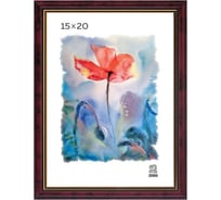 Пластиковая фоторамка Зебра PS_102_15x20 X7481856
