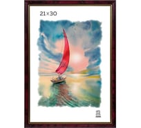 Пластиковая фоторамка Зебра PS_102_21x30 X7485799