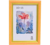 Пластиковая фоторамка Зебра PS_103_10x15 X7485991