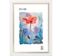 Пластиковая фоторамка Зебра PS_100_13x18 X7481387